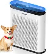 Air Purifiers for Home Large Room 1650ft² with PM2.5 Air Quality Sensor, H13 ...