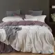 【Betrise時光旋律】加大-植萃系列100%奧地利天絲八件式鋪棉兩用被床罩組