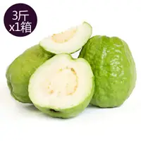 在飛比找COCORO Life優惠-【果之家】燕巢牛奶珍珠芭樂3台斤 1箱/約3-5顆