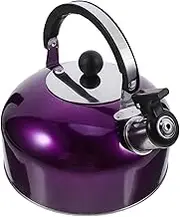 OFFSCH Kettle Stainless Steel Hot Water Pot with Safety Handle for Induction Gas Stovetops for Tea Lovers