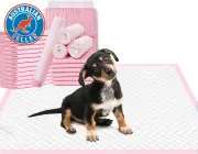 Large Dog Pee Pads 60X90Cm-25 Count |Large Puppy Pee Training Pads Super Absorbe