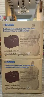 在飛比找Yahoo!奇摩拍賣優惠-『立恩樂器』木吉他音箱 BOSS ACS-LIVE LT 6