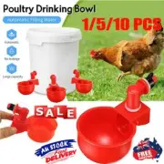 1-10 PCS Automatic Cups Water Feeder Drinker Chicken Waterer Poultry Chook BiCE