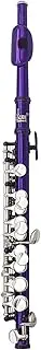 Piccolo Ottavino Half-Size Flute Plated C Key Cupronickel with Cleaning Cloth Scre River Padded Box Purple
