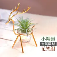 在飛比找蝦皮購物優惠-【草葉日和】花架 花器 小鹿金屬花架 空氣鳳梨花架 多肉植物