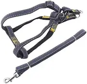 Dog Necklace, Adjustable Harness and Soft Leaving for Dogs, Comfortable Set for Walking and Dressage for Medium and Large Dogs (Black M)