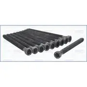 Austral Cylinder Head Bolt Set - 81043900