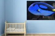 BLUE OCEAN BLUE FISH DOLPHINS SCENERY WALL ARTS high quality Canvas home decor
