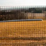 5' x 100' 16ga Galv Steel Black PVC Coated Welded Wire 2''x2'' Mesh Fence Roll