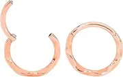 [365 Sleepers] 316L Surgical Steel 16G 8mm 10mm Twist Hinged Hoop Segment Nose Ring Helix Tragus Septum Unisex Earring Body Piercing Jewelry