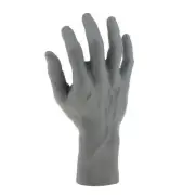 Mannequins Right Hand Model Male Manikin for Wristwatches Y8F5 I9K9 G8N4