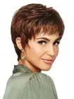 Fashion Pixie Cut Wigs Women Short Straight Hair Synthetic Blond Brown Mixed