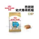 皇家 - CHP/吉娃娃幼犬飼料 ( 1.5kg )