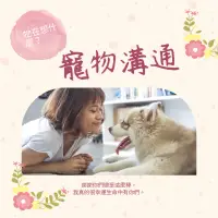 在飛比找蝦皮購物優惠-品品老師🐾寵物溝通🐾讓你多了解寵物