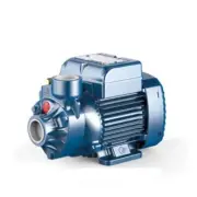 Pedrollo Peripheral Impeller Pump With EP1 Pressure Controller 0.37KW 0.5Hp 240V