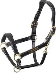 Velociti Rapida Leather Horse Headcollar (UK Size: Pony) (Black)