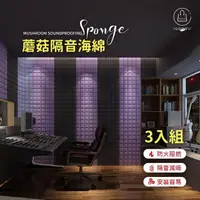 在飛比找momo購物網優惠-【Jo Go Wu】SGS合格認證3D立體隔音海棉3入組(壁