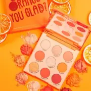 Authentic Colourpop Orange You Glad Eyeshadow Palette