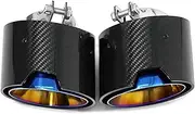 2pcs/lot Carbon Fiber Exhaust Compatible For BMW G22 G23 G26 420i 430i Muffler Tip Directly Plug tip Exhaust System(Carbon Fiber E)
