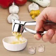 Garlic press crusher kitchen Stainless Steel Ginger Mincer Manual Squeezer Tool