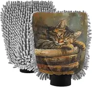 XYMZR Cat Book Retro Absorbent Microfiber Car Wash Mitt, Funny Cute Anime Scratch Free for Cars Cleaning, Home Cleaning Mitts, 2 Pack, 10.24” L x 7.09” W