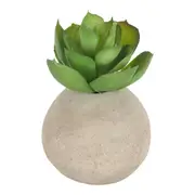 Floret Cactus In Pot 1 7x4.5cm