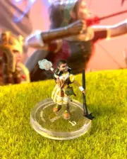 Ija Human Summoner Advanced Heroes D&D Miniature Dungeons Dragons druid wizard
