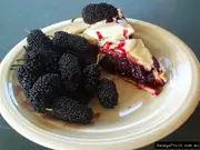 Buy Mulberry Fruit Trees (White, Red, Black)