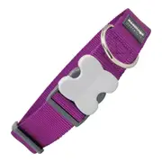 Dog Collar by Red Dingo Width Purple 4 x 5080 Cm