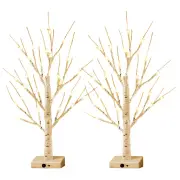 NNETM 24LT 60.96cm Lighted Birch Tree - Warm White Christmas Lights