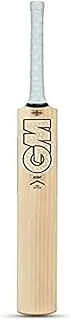 GM Icon Pro Edition English Willow Professional Cricket Bat for Men | Free Cover | Lightweight | Short Handle | Made in UK