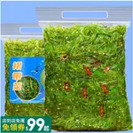 百寶店【新貨】裙帶菜 海帶乾 海群裙菜藻裙邊菜乾淨無沙海菜海帶芽嫩海帶絲即食海帶