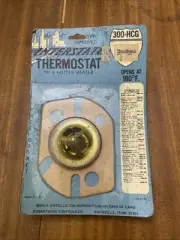 Interstate Thermostat 300-HCG Auto Car Original Package Unopened