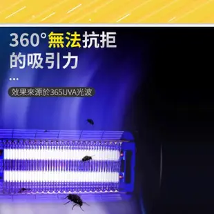 【佛山牌】10支 FL15BL T8 15W 捕蚊燈管 滅蚊燈管(365nm波長 藍色燈光)