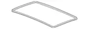 Genuine GM Sunroof Window Seal 84187590