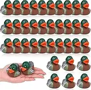 Waldeinsamkeit 36Pcs Family Mallard Rubber Duck Car Rubber Duck Brown and Green Duck Decoration Dashboard for Ducky Birthday Duck Incentives Gift Duck Hunting Classroom Party Decorations