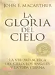 La Gloria del cielo/ Glory of Heaven