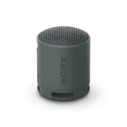 XB100 Portable Wireless Speaker (Black)