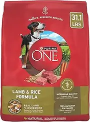 Purina ONE Dry Dog Food Lamb and Rice Formula - 31.1 Lb. Bag