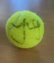 Taylor Fritz Hand Signed Wilson Tennis Ball US Open Sports Autograph Proof