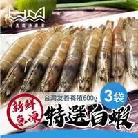 在飛比找PChome24h購物優惠-【好美農漁產】台灣新鮮急凍特選白蝦(無用藥天然活水養殖)(冷