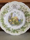 Simply Adorable Royal Doulton Brambly Hedge Salad Plate Floral, Mouse ,W/Hanger