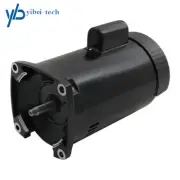 B2854 B2854V1 56Y 1.5 HP Frame Square Flange Single Speed Swimming Pool Motor