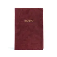 在飛比找誠品線上優惠-KJV Rainbow Study Bible, Burgu