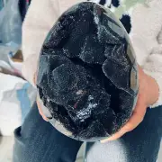 16.06LB Natural Dragon Septarian Geode Quartz Cluster Crystal egg Healing 7300g