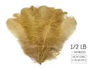 1/2 Lb. - 18-24" Old Gold Ostrich Wing Wholesale Feathers Centerpiece Carnival