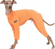 D Doggy Star Italian Greyhound Clothes Strechy Neon Onsie Spring Summer (S,Onsi Ne Orange)