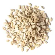 Organic Sunflower Seeds | Unroasted Unsalted Edible Raw Kernels Premium Quality