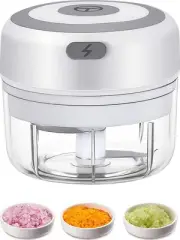 Electric Mini Garlic Chopper, 100ML Food Mincer USB, Vegetable Onion Portable