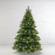 6 Foot Oxford Spruce Christmas Tree